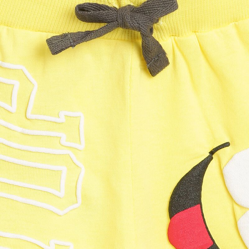 Boys Medium Yellow Short Knitted Trousers image number null